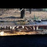 photo 2021-11-24 12-37-19