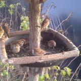 photo 2019-12-15 14-42-18