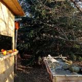 photo 2021-12-23 08-49-18