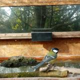 photo 2023-10-24 10-40-48