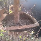 photo 2019-12-19 08-42-29