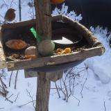 photo 2019-01-26 09-57-46