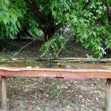 photo 2021-05-24 11-24-07