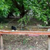 photo 2021-05-24 11-26-26