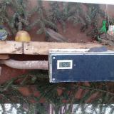 photo 2021-02-13 07-16-12