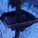 photo 2019-01-07 06-57-04