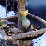 photo 2019-01-15 09-01-04