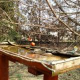 photo 2022-03-18 11-55-56