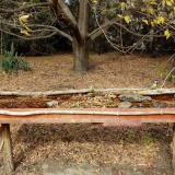 photo 2021-10-22 13-23-58