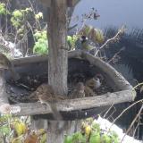 photo 2019-12-02 08-09-55