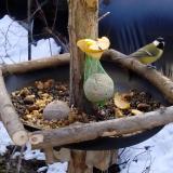 photo 2019-01-14 11-43-41