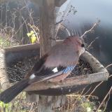 photo 2019-12-25 09-25-01