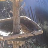 photo 2019-02-18 10-37-36