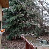 photo 2021-12-15 13-49-14