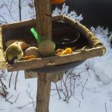 photo 2019-01-26 09-19-48