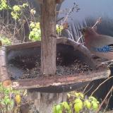 photo 2019-12-14 11-28-13