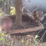 photo 2019-12-19 09-18-54