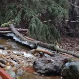 photo 2021-12-16 09-16-09 rigok