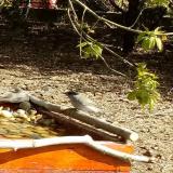 photo 2021-04-12 09-48-53-poszata