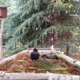 photo 2023-10-10 08-50-01