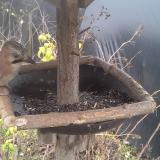 photo 2019-12-22 13-06-16