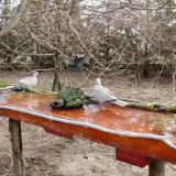 photo 2021-03-23 08-08-03