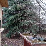 photo 2021-12-11 12-37-57