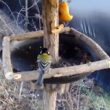 photo 2019-02-07 16-28-05