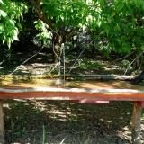 photo 2021-05-11 09-35-05