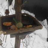 photo 2019-01-23 11-05-39