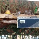 photo 2021-02-12 11-16-18