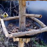 photo 2019-01-02 08-35-23