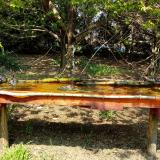 photo 2021-04-21 12-51-28