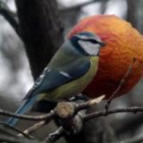 photo 2022-01-24 14-57-23 009