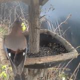 photo 2019-12-25 14-33-43