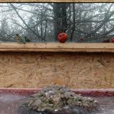 photo 2022-01-16 09-28-25