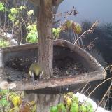 photo 2019-12-02 10-45-40