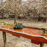 photo 2021-03-23 09-28-04