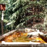 photo 2023-10-16 13-15-12