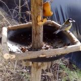 photo 2019-02-08 11-18-07