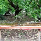 photo 2021-05-20 14-45-58