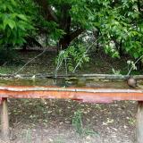 photo 2021-05-25 11-54-49