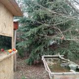 photo 2021-12-26 12-23-10