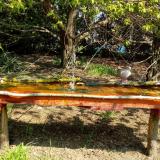 photo 2021-04-21 10-55-40