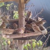 photo 2019-12-13 13-26-05