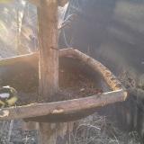 photo 2019-02-18 07-37-46