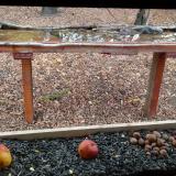 photo 2021-11-03 13-22-45