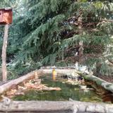 photo 2023-10-04 11-03-04