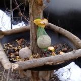 photo 2019-01-17 07-54-58