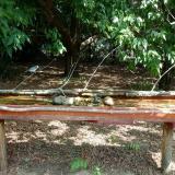 photo 2021-07-14 10-44-43